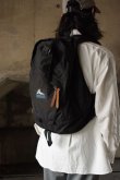 画像1: 90's GREGORY back pack (1)