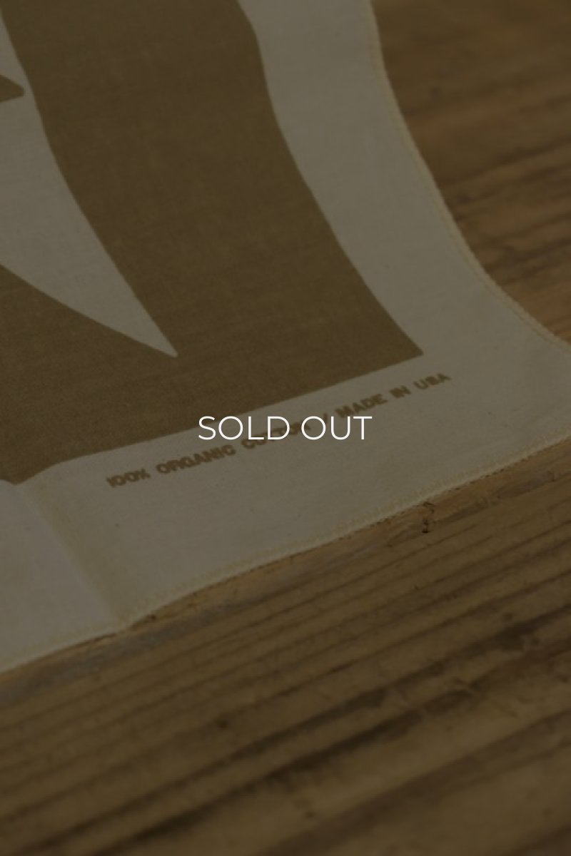 画像5: REI Organic Cotton Bandana -made in USA- (5)