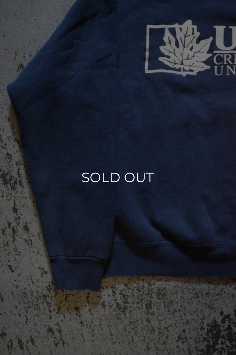 画像7: 90-00's FRUIT OF THE LOOM crew sweat shirt (7)