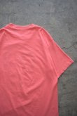 画像13: 80's HANES S/S print tee -made in USA- (13)
