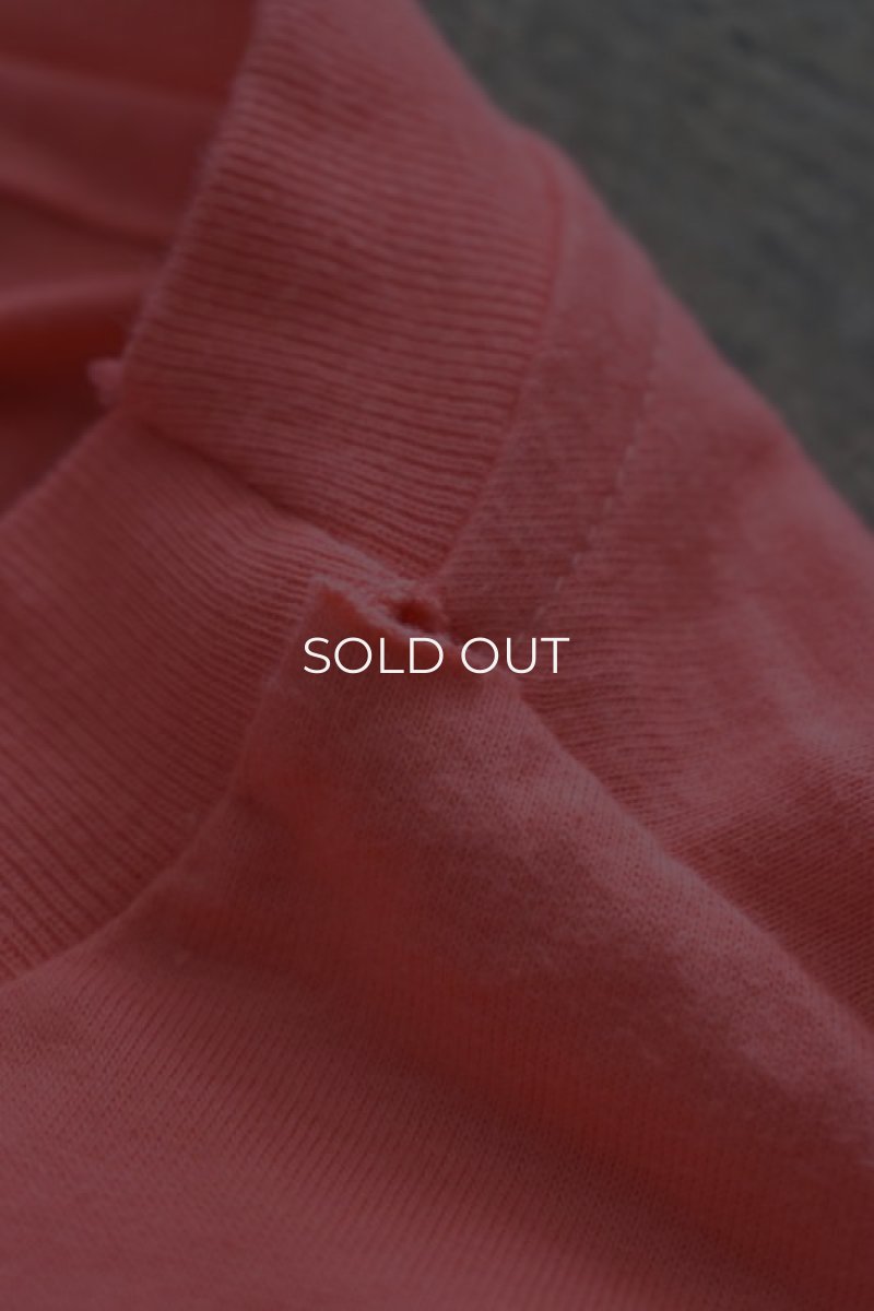 画像15: 80's HANES S/S print tee -made in USA- (15)