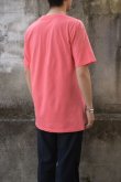 画像3: 80's HANES S/S print tee -made in USA- (3)