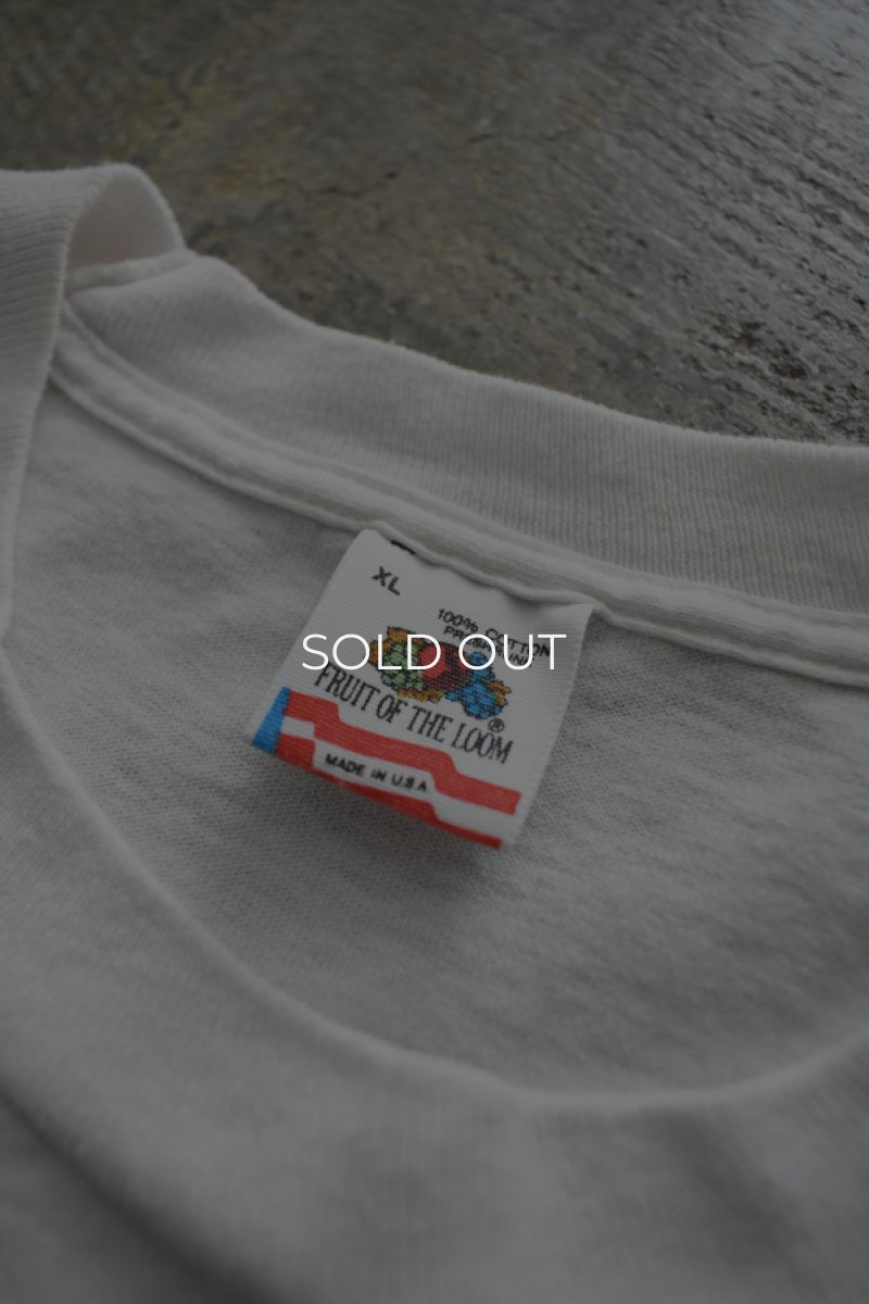 画像11: 90's FRUIT OF THE LOOM S/S print tee -made in USA- (11)