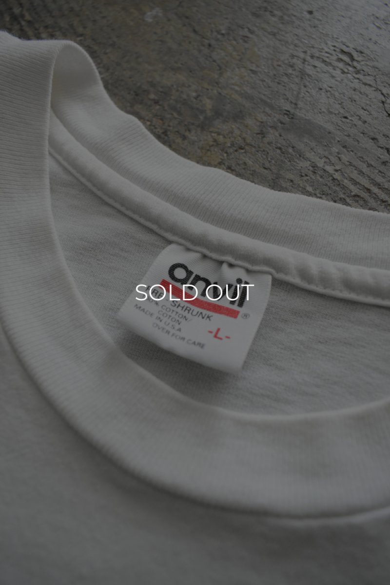 画像11: 90's anvil S/S print tee -made in USA- (11)
