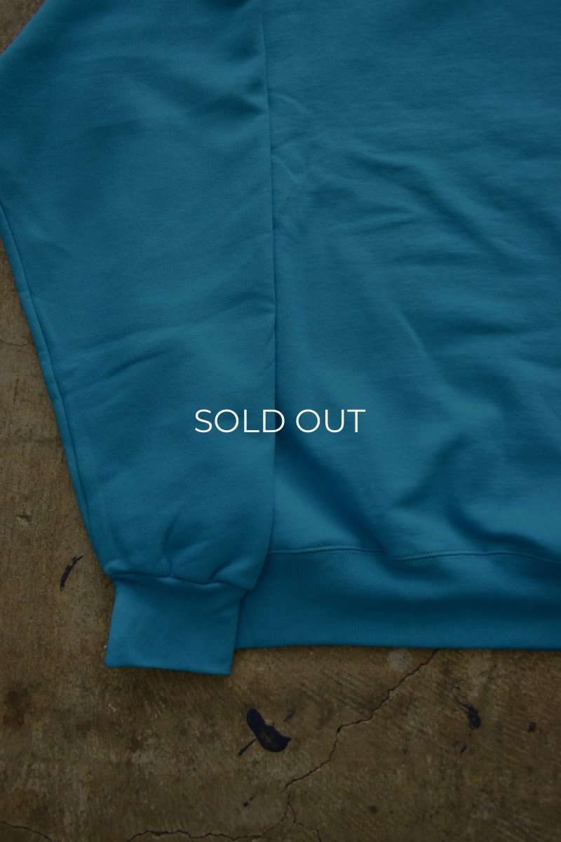 画像15: [NEW] Hanes crew neck sweat shirt -TEAL- (15)