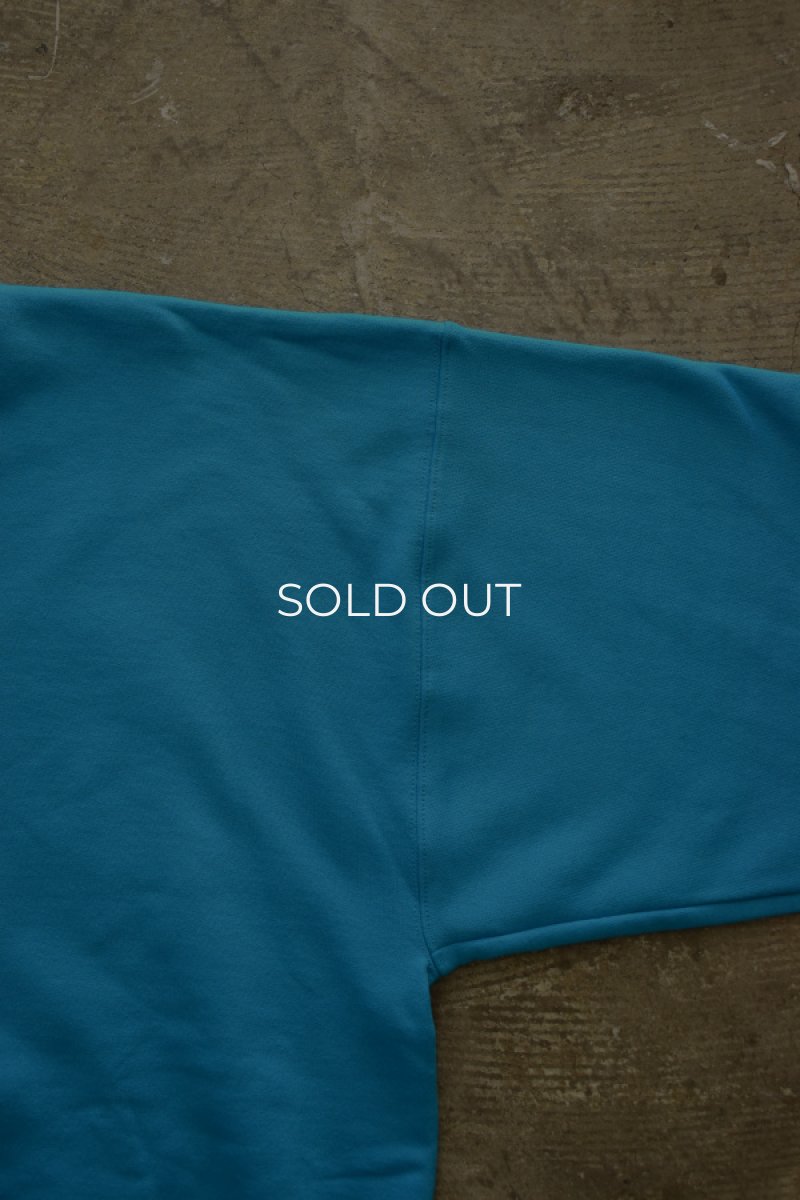 画像10: [NEW] Hanes crew neck sweat shirt -TEAL- (10)