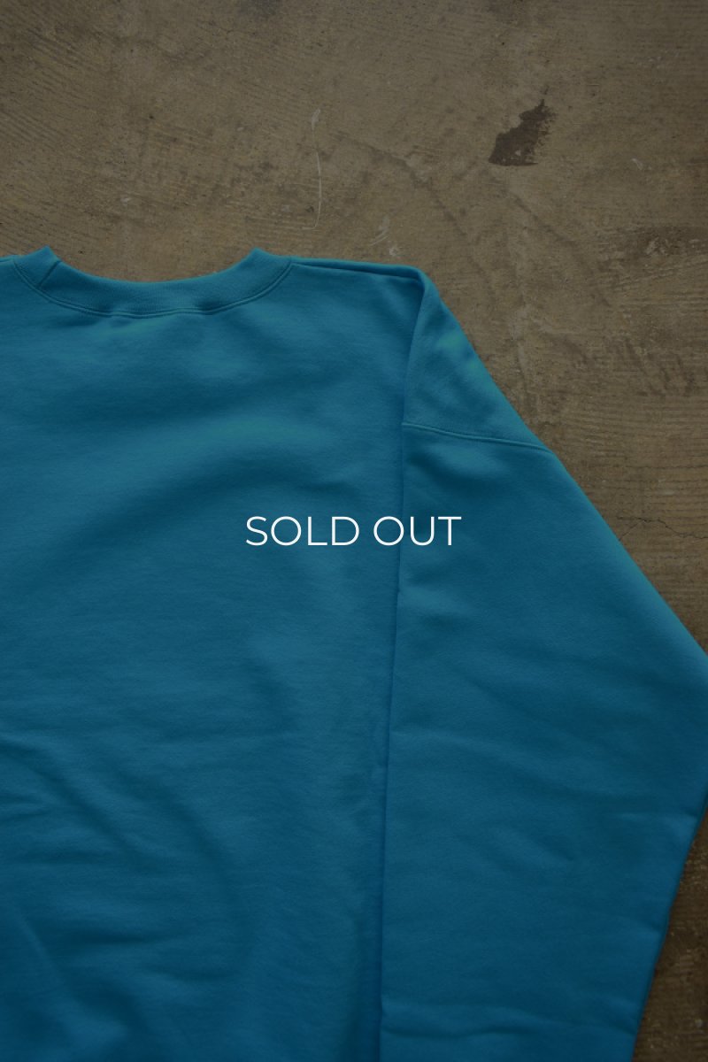 画像14: [NEW] Hanes crew neck sweat shirt -TEAL- (14)