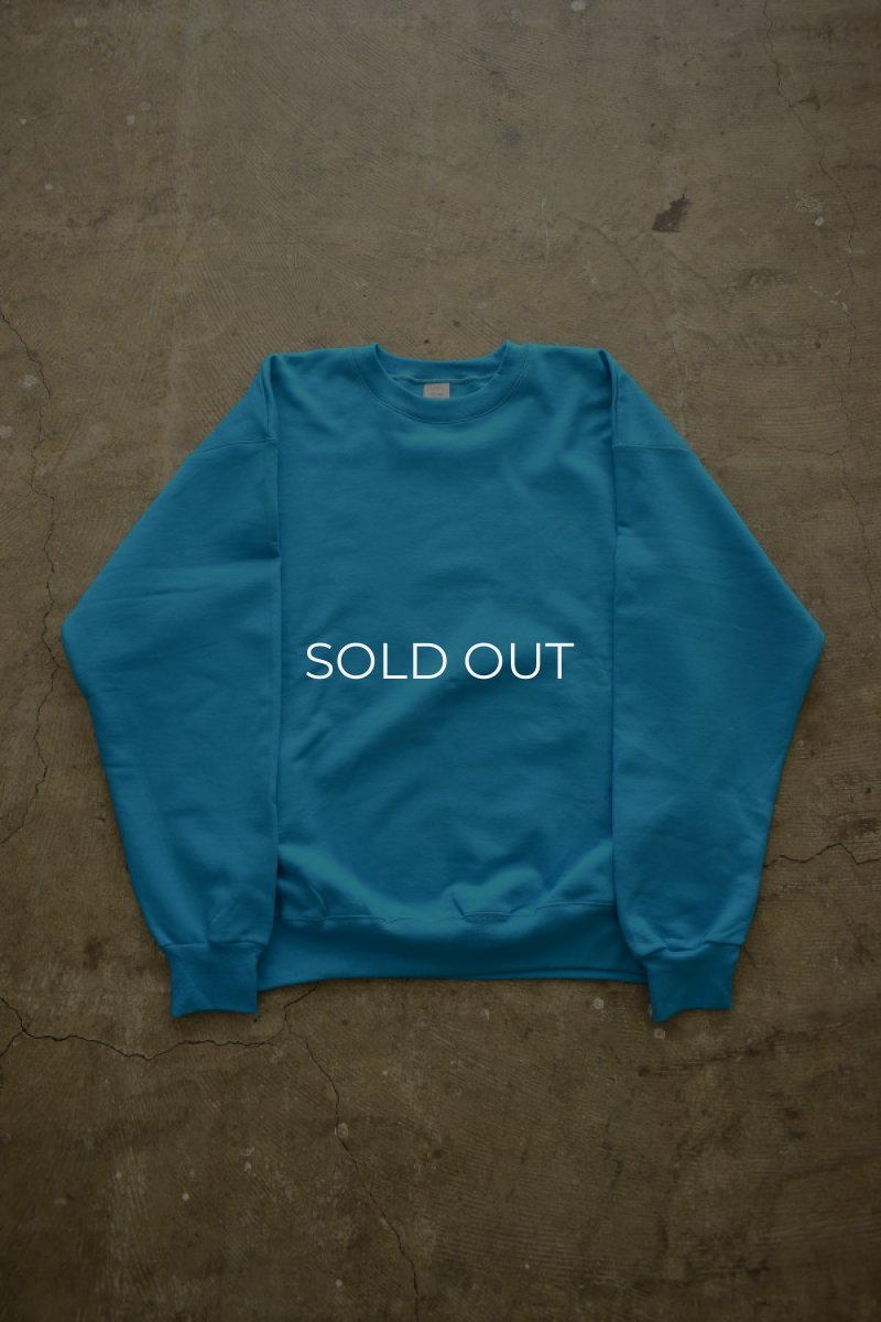 画像5: [NEW] Hanes crew neck sweat shirt -TEAL- (5)