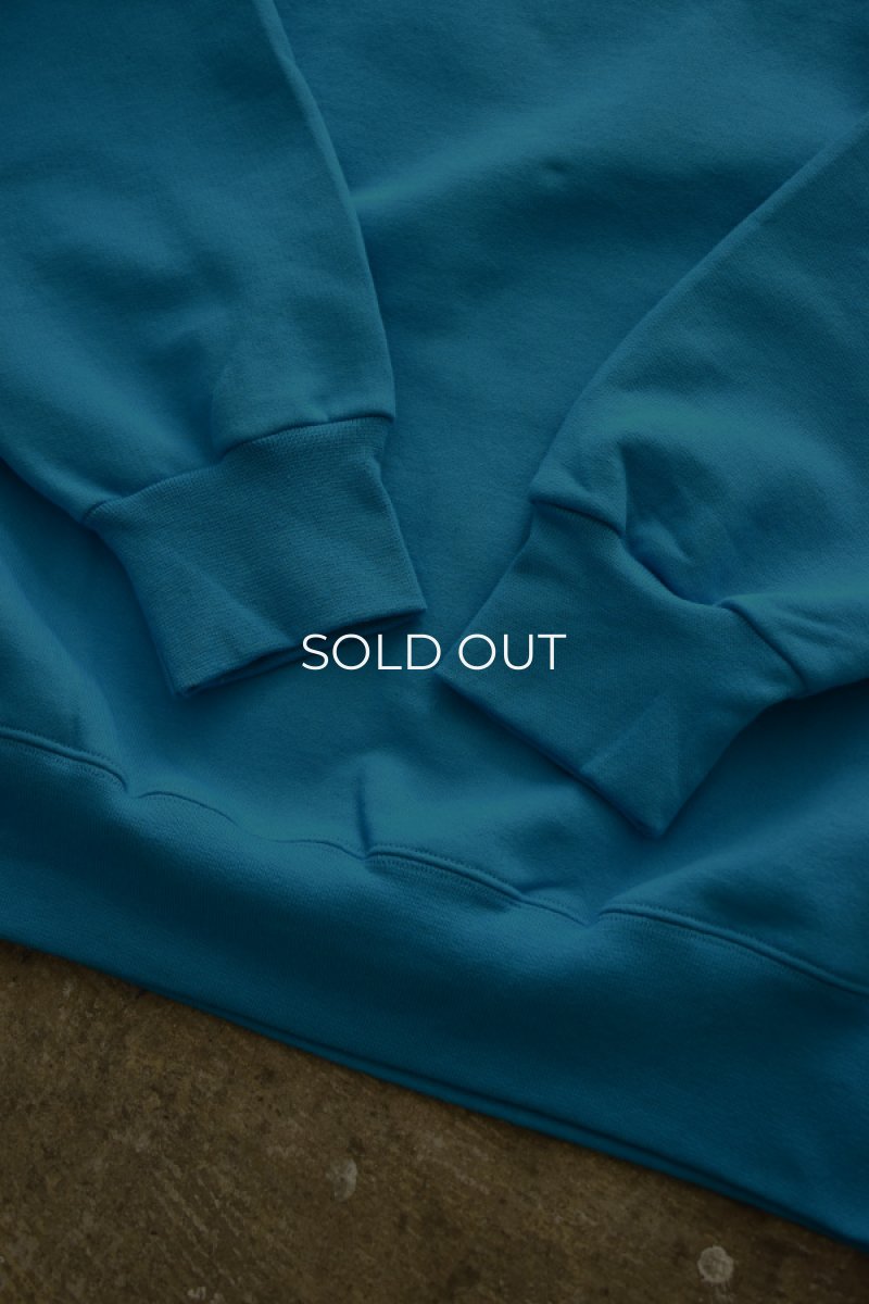 画像11: [NEW] Hanes crew neck sweat shirt -TEAL- (11)