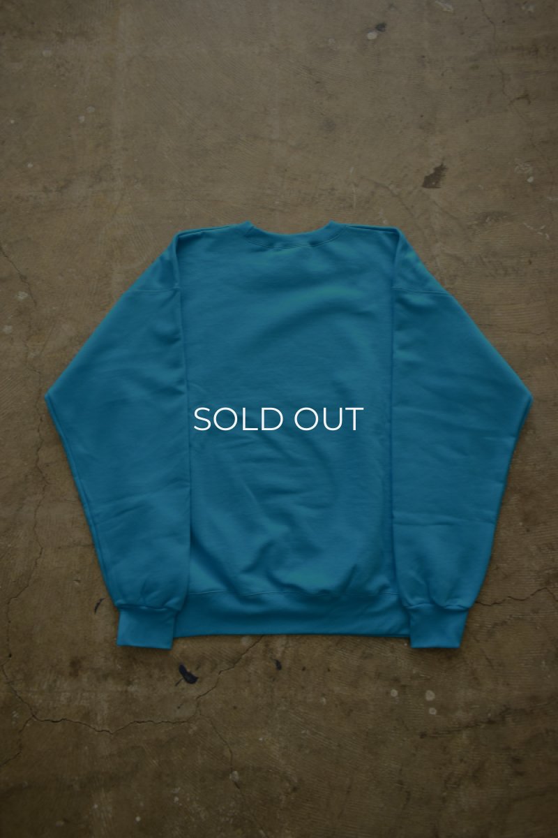 画像13: [NEW] Hanes crew neck sweat shirt -TEAL- (13)