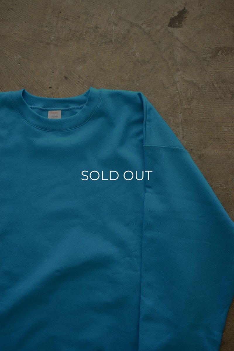 画像6: [NEW] Hanes crew neck sweat shirt -TEAL- (6)
