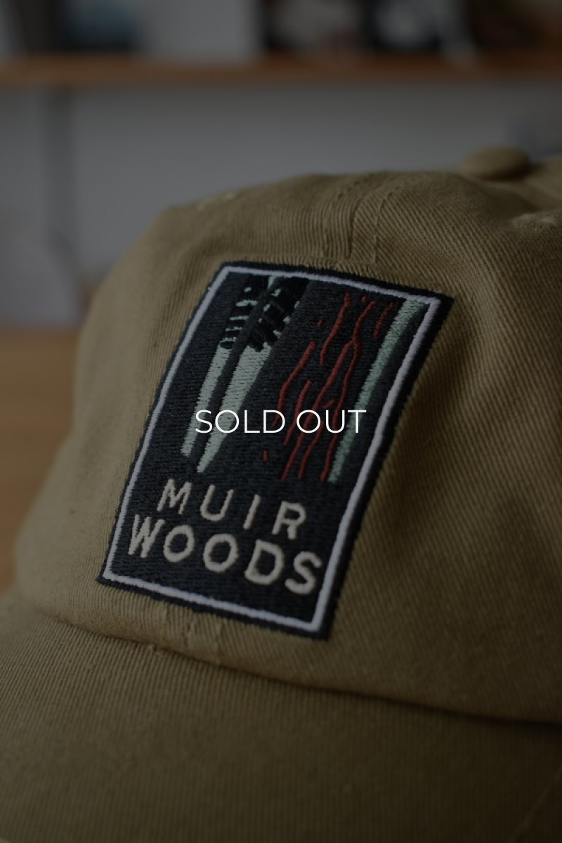 画像5: [NEW] GOLDEN GATE NATIONAL PARKS CONSERVANCY cotton 6 panel cap "MUIR WOODS" (5)