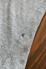 画像15: 80's Champion S/S print tee -made in USA- (15)