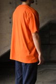 画像3: 90's FRUIT OF THE LOOM S/S print tee -made in USA- (3)