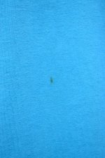 画像12: 90's Hanes S/S printed tee -MADE IN USA- (12)