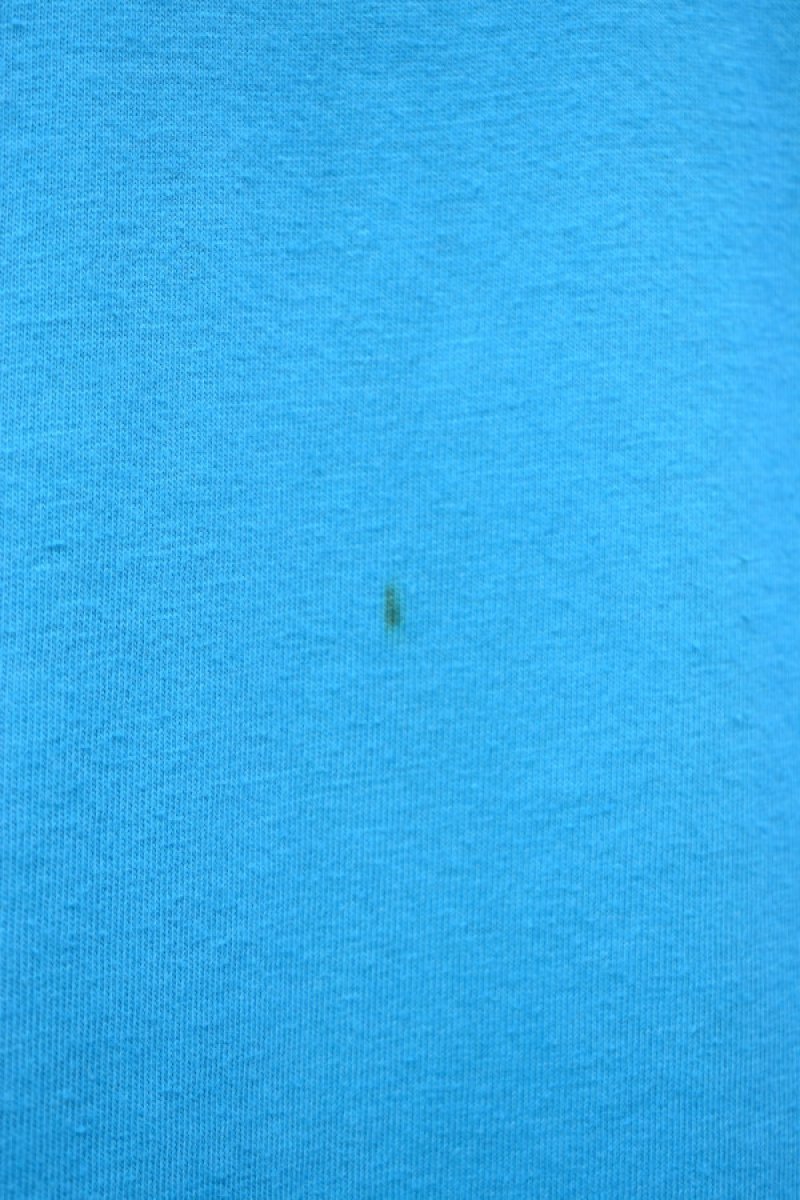 画像12: 90's Hanes S/S printed tee -MADE IN USA- (12)